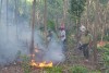 Tăng cường phòng cháy, chữa cháy rừng