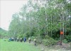 Khuyến cáo mùa vụ trồng rừng vụ Xuân tại tỉnh Phú Yên
